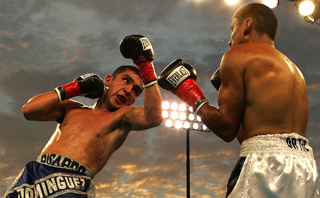 entrainement boxe anglaise