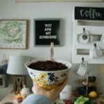 coin café