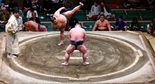 Le sumo